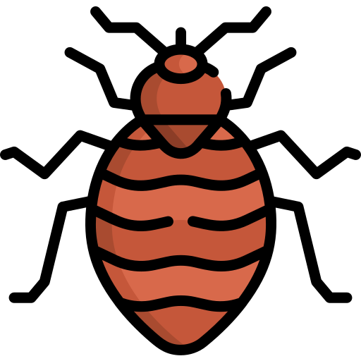 Bed Bug Icon
